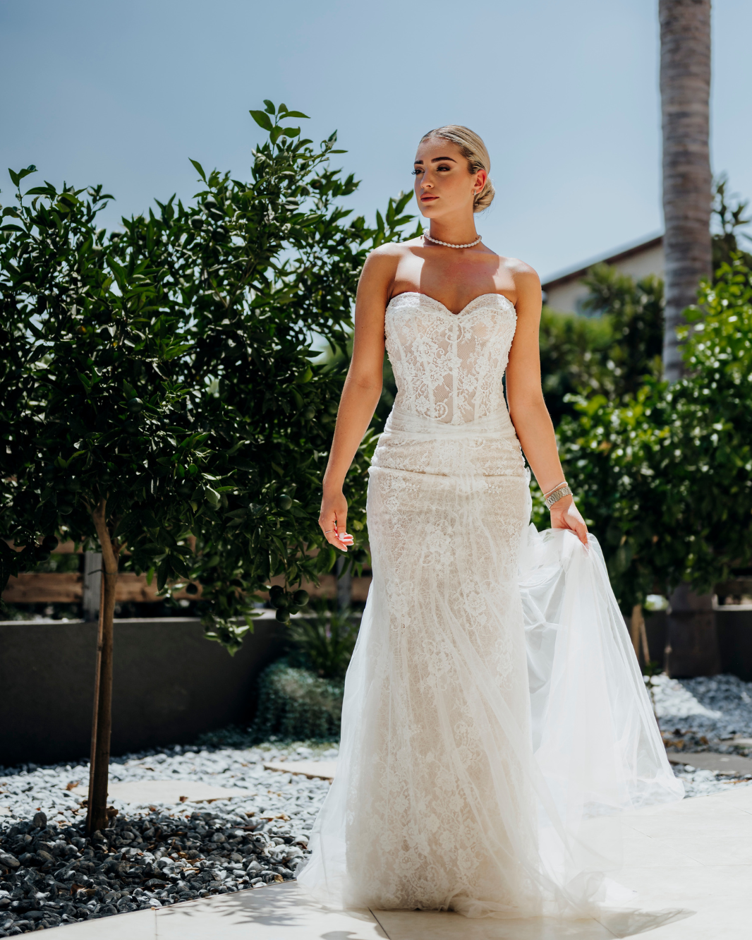 עיצוב ללא שם - 2025-02-05T090022.005